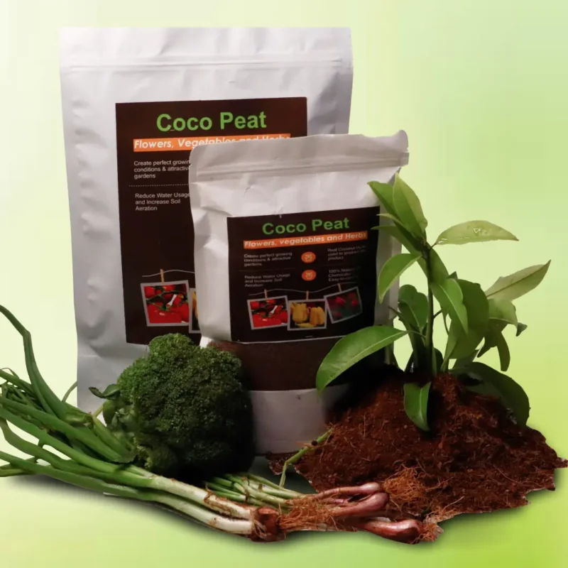 Coco Peat Pallet